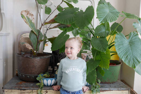Sage 'LET'S HAVE AN ADVENTURE' Sweatshirt