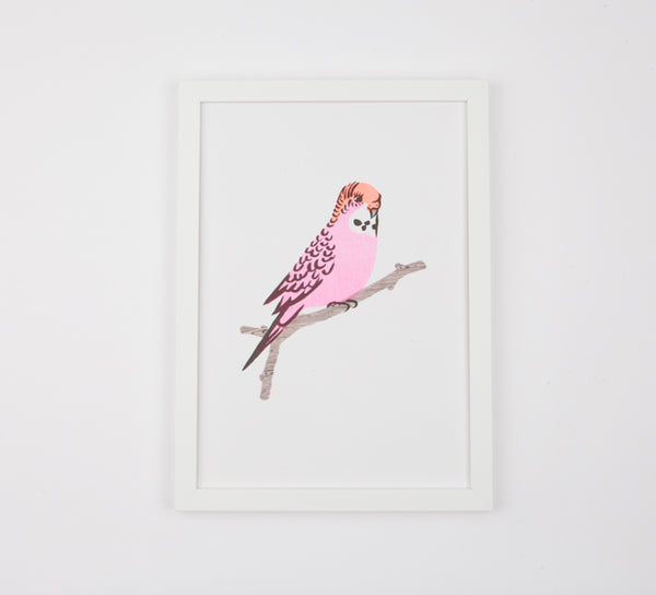 Pink Budgie Print