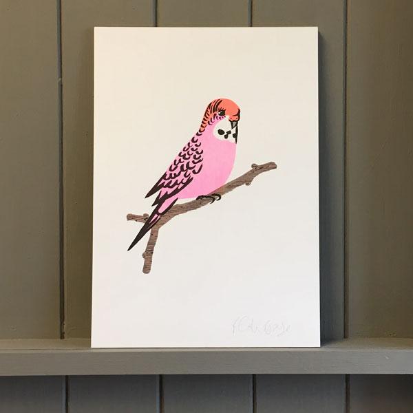 Pink Budgie Print