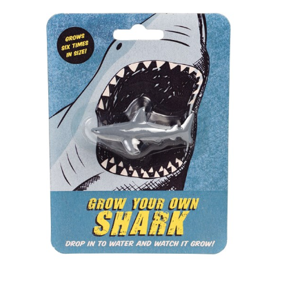 Grow Your Own Shark