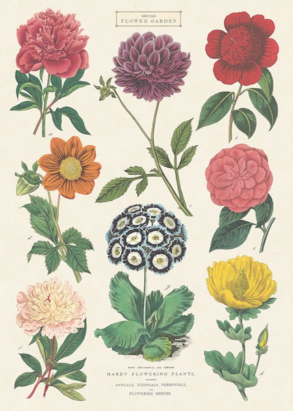 Flower Garden Poster
