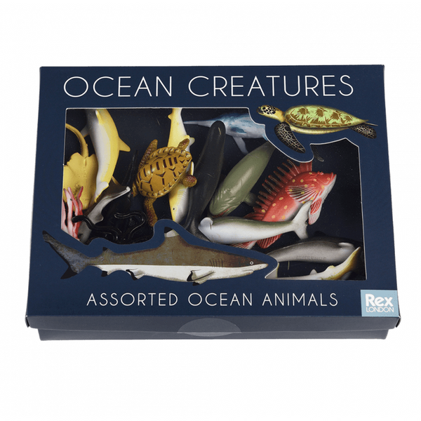 Ocean Animals (Box of 16)