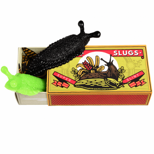 Box of 2 Super Slimy Slugs