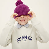 Pebble Grey 'DREAM BIG' Sweatshirt